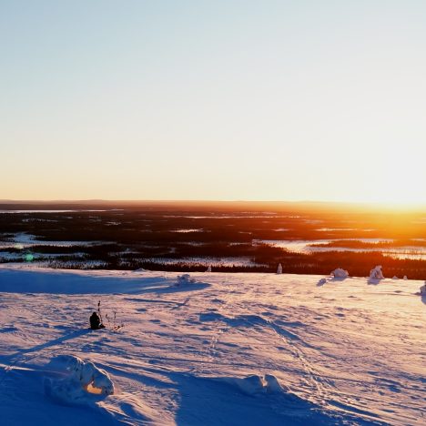 Metsästys: Perinne, Yhteisöllisyys Ja Kunnioitus Luontoa Kohtaan